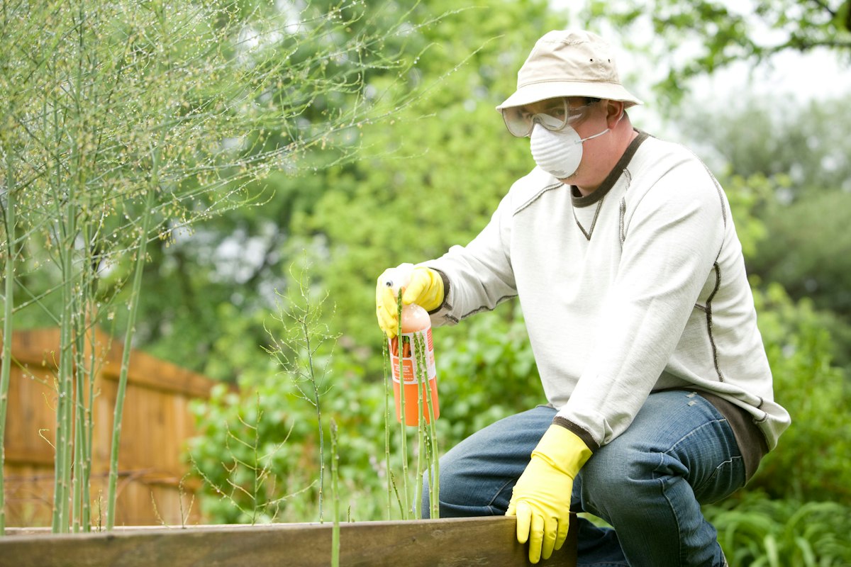Pressure Washing